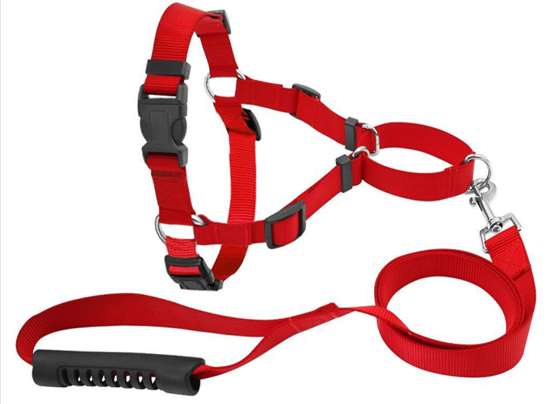 Nylon No-pull Dog Harness & Leash Set,front Lead For Easy Training 