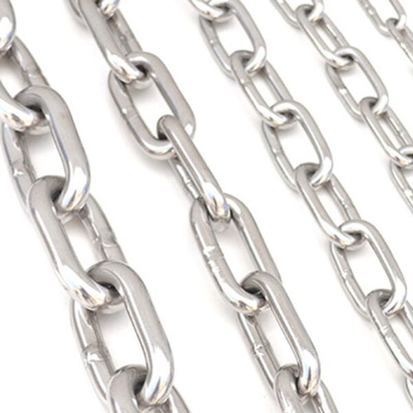 chain with S hooks on both ends – Wenzhou Baite Rigging Co., Ltd.